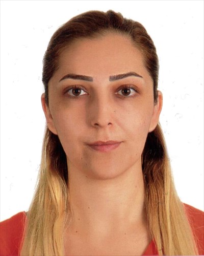 Araştırma GörevlisiSEDA TEK SEVİNDİK