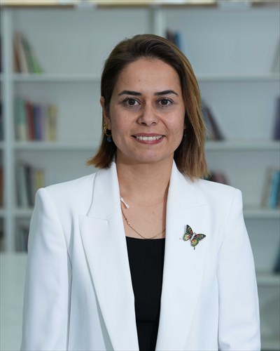 Profesör DoktorİLKNUR KOCA