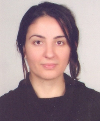Doktor Öğretim ÜyesiBARIŞ İŞÇİ PEMBECİ